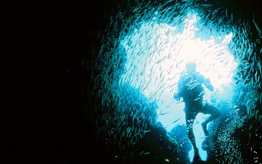 Blue Hole Diving in The Abacos