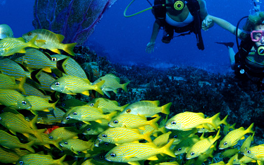 Scuba Diving in The Exumas - Discover Rich Shallow Reefs and Blue Holes