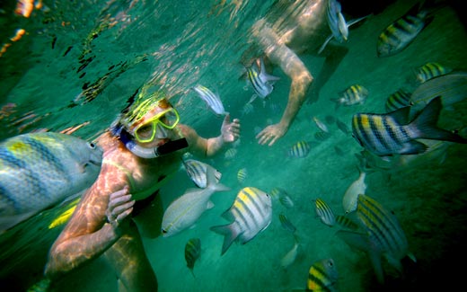 Snorkel in Long Island Bahamas