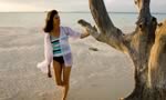 Lone Tree on Harbour Island, The Bahamas